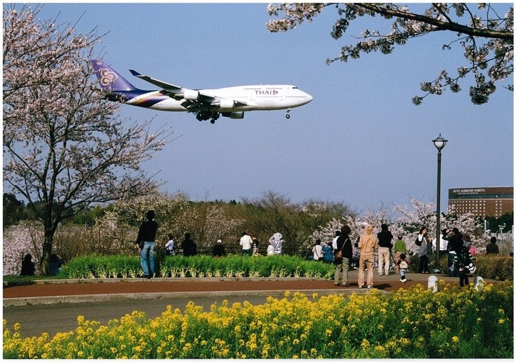 The perfect spot for taking photos of flowers of the four seasons as well as airplanes by 成田市観光協会 