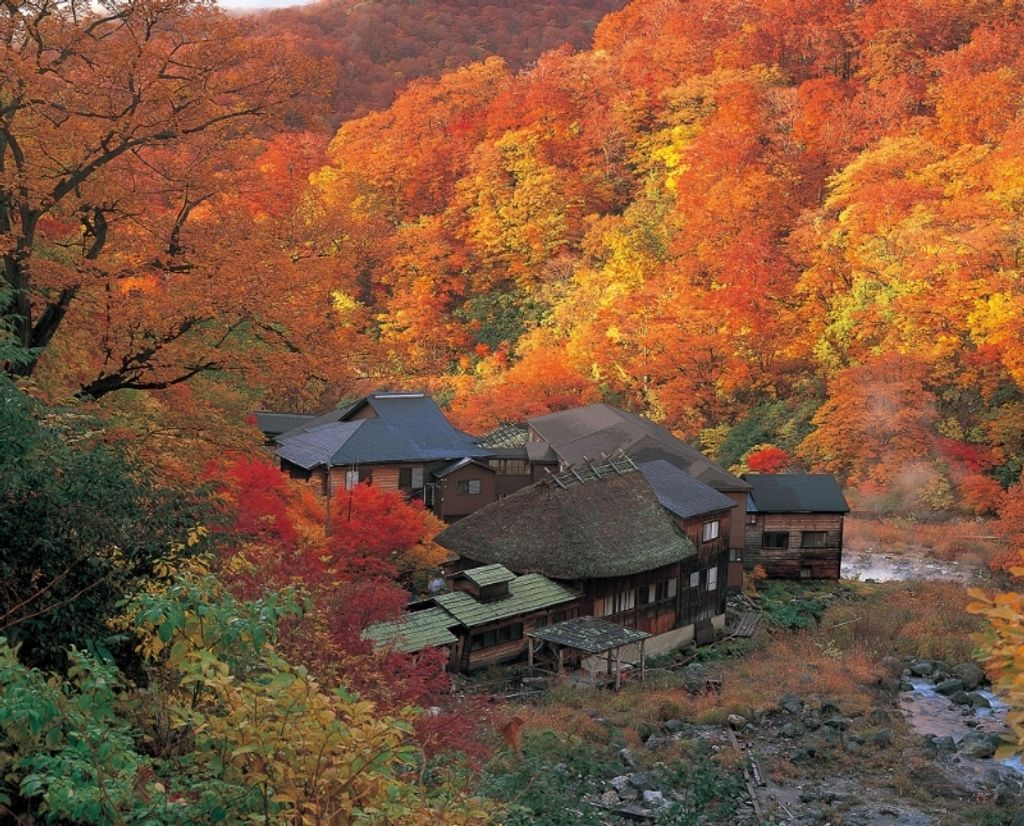 Enjoy the lovely autumn colors "Kuroyu Onsen"
