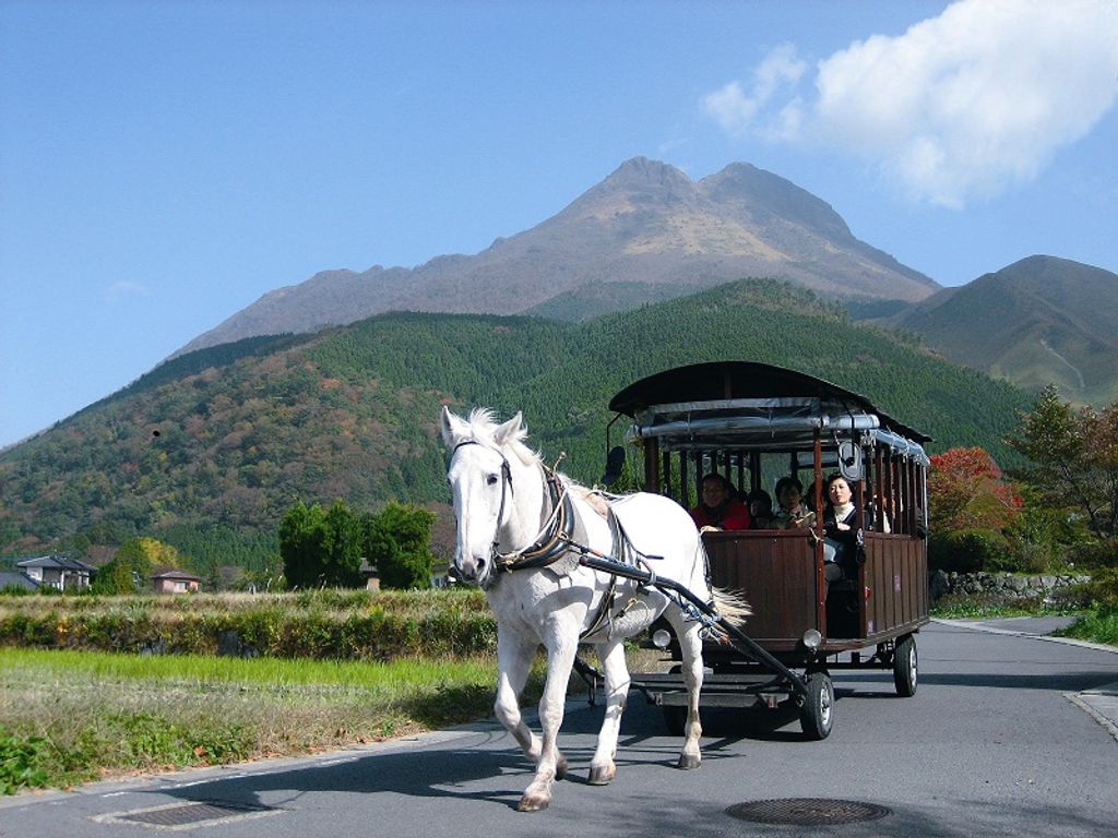 Yufuin Onsen - The horse carriage cutting across the serene landscape with Mt. Yufu in the background image by ( visit-oita.jp )