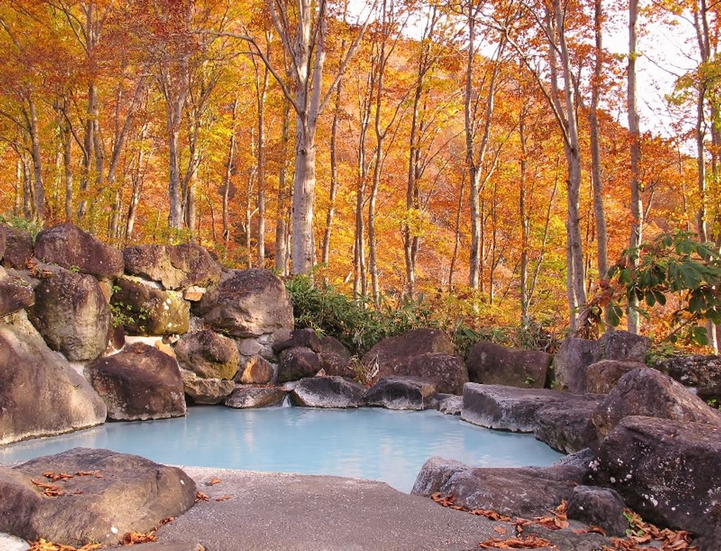 Tsubame Onsen in the middle of the forest. You can enjoy 7 onsen at Myoko.